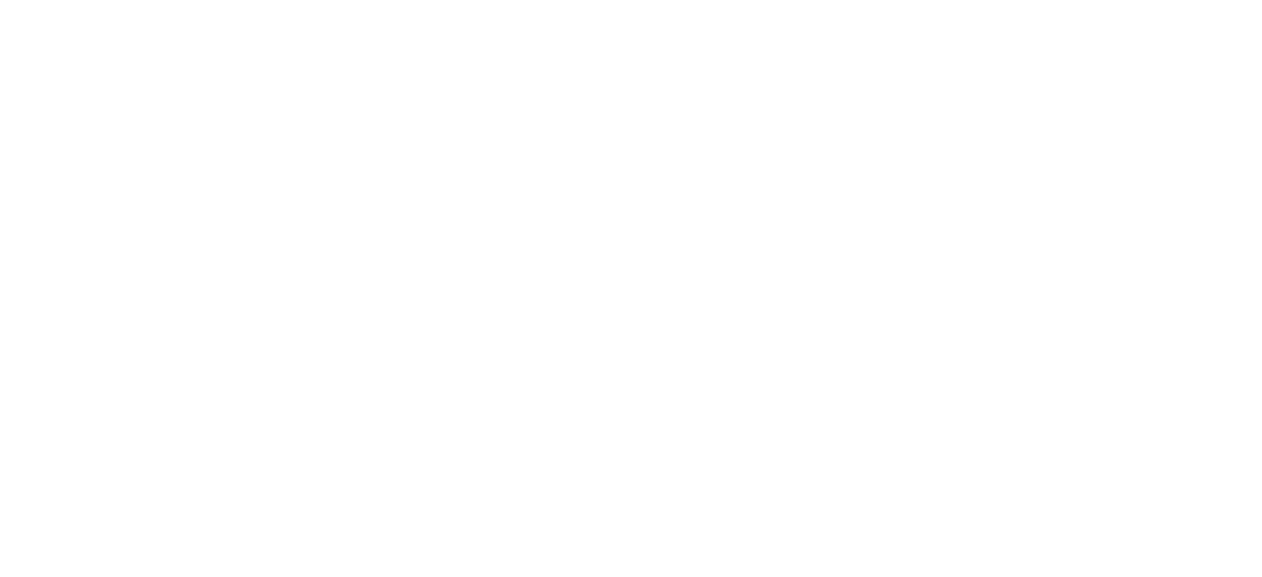 logo - blanc berthaudin